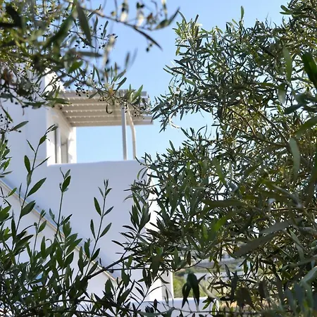 Dom wakacyjny Ramnos House